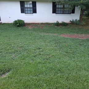 Bush Trimming by ETC Services reviewed on August 21, 2025