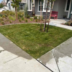 yard work by Mojica Lawn Care reviewed on August 18, 2025
