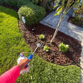 Flower Bed Weeding by Geo Luxuries reviewed on May 21, 2026