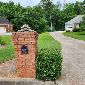 gardening service by WhyExperts LLC reviewed on December 7, 2025