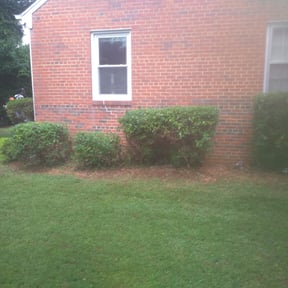 Bush Trimming by Muirwoods Lawn care reviewed on May 4, 2024