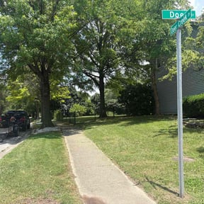 yard service by YardPro reviewed on August 17, 2025