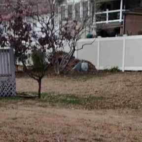 Leaf Removal by Exquisite Lawn &amp; Grounds reviewed on September 16, 2025