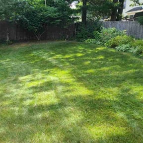 landscaping by Magnum Landscaping llc reviewed on August 16, 2025