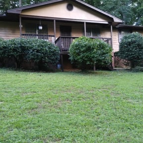 Bush Trimming by Sw services 1 reviewed on August 17, 2025