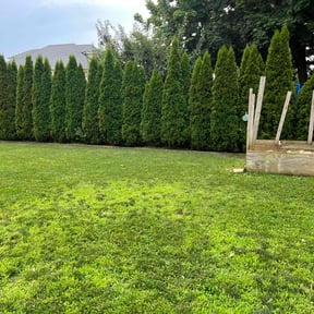 yard maintenance by Alan's Mowing reviewed on August 21, 2025