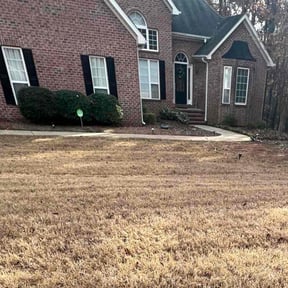 Bush Trimming by Schlener Lawn Care reviewed on August 17, 2025