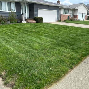 yard work by Au Dimensions reviewed on December 10, 2025