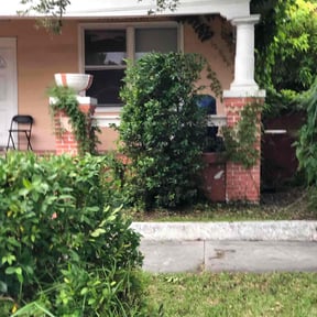 Bush Trimming by AB landscaping reviewed on August 17, 2025