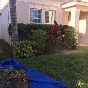 Bush Trimming by Black Family Lawncare reviewed on August 19, 2025