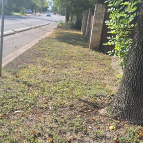 Leaf Removal by Tim&#039;s Discount Lawn reviewed on September 9, 2025