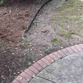 Leaf Removal by Mr. Century Lawn care &amp; Snow Removal reviewed on June 28, 2026