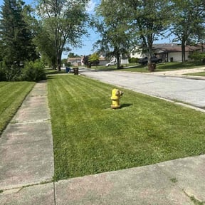 turf care by Tampico Landscaping reviewed on July 25, 2025