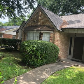 Bush Trimming by TL Professional Services LLC reviewed on August 19, 2025
