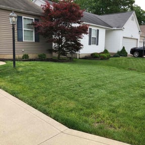 yard care by S&S Lawn Care reviewed on August 18, 2025