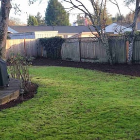 Leaf Removal by Harry&#039;s Champion Landscaping reviewed on December 3, 2025