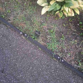 Flower Bed Weeding by Brian C Matthews reviewed on August 14, 2026
