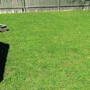 landscaping services by P&D Landscaping reviewed on August 15, 2025
