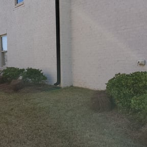 Flower Bed Weeding by Cardos Services LLC reviewed on August 18, 2025