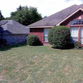 Bush Trimming by Picture perfect lawn reviewed on August 20, 2025