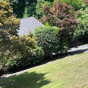 Bush Trimming by R&amp;W grassworks reviewed on May 8, 2024