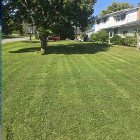 turf maintenance by Extra Hands reviewed on February 22, 2024