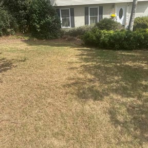 Bush Trimming by Christopher&#039;s lawn service reviewed on October 24, 2025