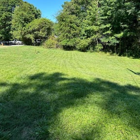gardening service by 1776 Landscape Maintenance and Enhancements reviewed on August 16, 2025