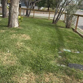 Leaf Removal by Arrington’s Cleaning LLC reviewed on January 20, 2026