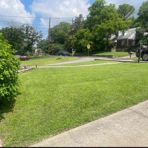 yard service by Toko Lawn Services reviewed on August 19, 2025