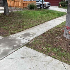 Leaf Removal by Done right lawn care reviewed on December 2, 2025