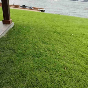 landscape maintenance by A.N.E. Landscaping LLC reviewed on August 16, 2025