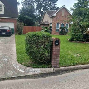 Bush Trimming by Trim My Yard reviewed on April 20, 2026