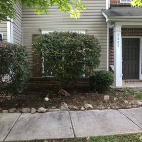 Bush Trimming by Torres Transformations reviewed on August 19, 2025