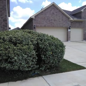 Bush Trimming by Locked in Lawn Care Services reviewed on August 16, 2025