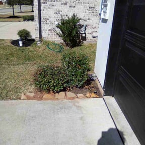 Bush Trimming by Freshlawncarellc reviewed on April 25, 2026