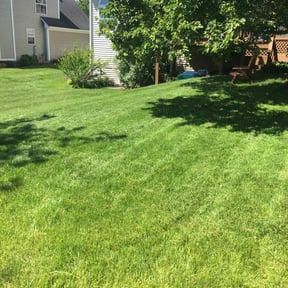 yard work by 6 star mows reviewed on November 23, 2025