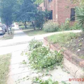 Bush Trimming by D&amp;M Lawn Care reviewed on November 26, 2025