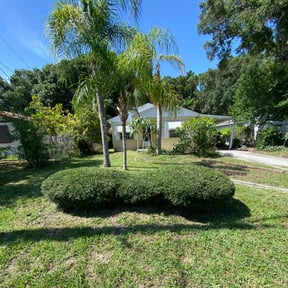 Bush Trimming by Lawn Care Solutions reviewed on August 19, 2025
