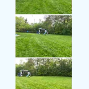 turf care by Just Cuts Lawn Care reviewed on April 4, 2024