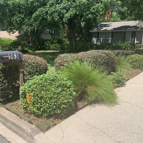 Bush Trimming by Good Guys Lawn and Fence reviewed on August 20, 2025