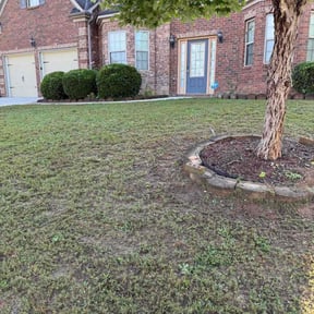 Bush Trimming by Superior Yard Solutions reviewed on August 2, 2025