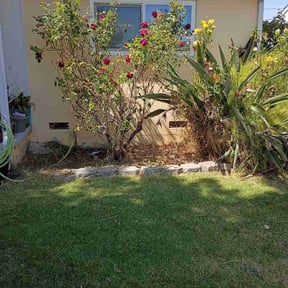 Flower Bed Weeding by John's Lawn care reviewed on June 2, 2026