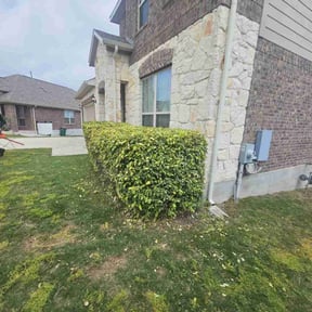 Bush Trimming by Kirk Brothers Lawn Care reviewed on August 15, 2025