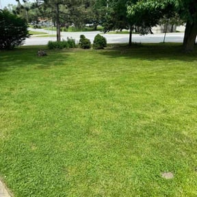 residential landscaping by Leggy Lawn Care reviewed on August 18, 2025
