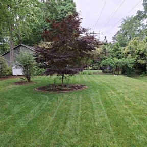 gardening service by Passionate landscape reviewed on November 21, 2025