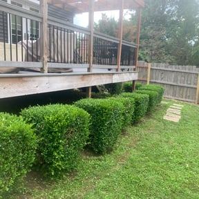 Bush Trimming by Brandonsanders reviewed on November 27, 2025