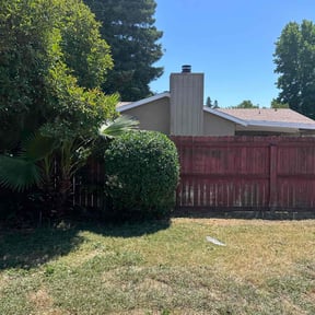 Bush Trimming by Awesome Lawns and More LLC reviewed on August 19, 2025