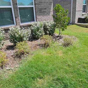 Bush Trimming by Nates Lawn Service reviewed on November 10, 2025