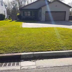 residential landscaping by Conley Lawn care reviewed on August 15, 2025